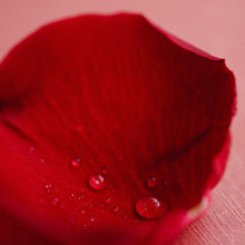 Load image into Gallery viewer, Rosehip Refresh Cleanser